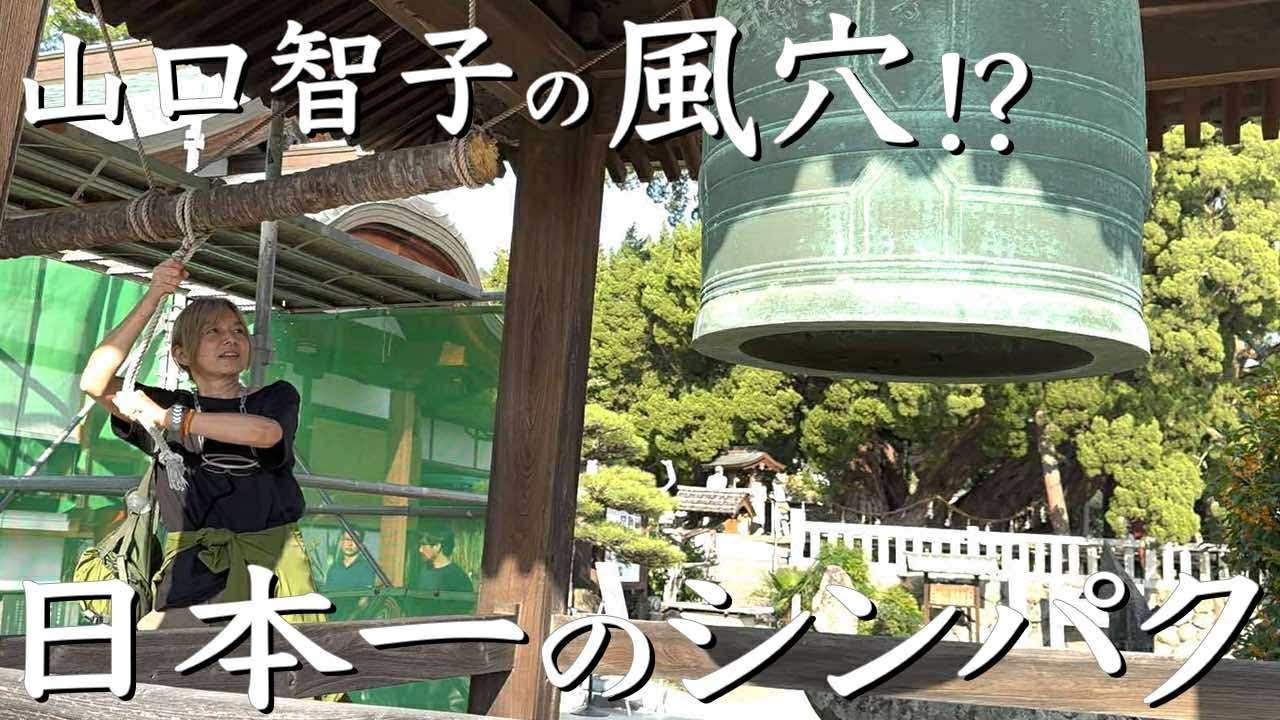 小豆島　五十四番札所宝生院 樹齢1600年のシンパク