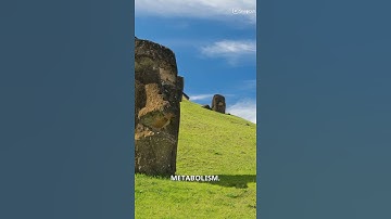 David Sinclair is a HERO who can REVERSE AGING.