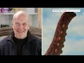 Paleontologist Answers Fossil Questions | Tech Support | WIRED