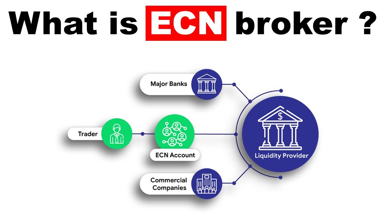 # Cei mai buni 10 brokeri Forex ECN () ++ Comparație reală
