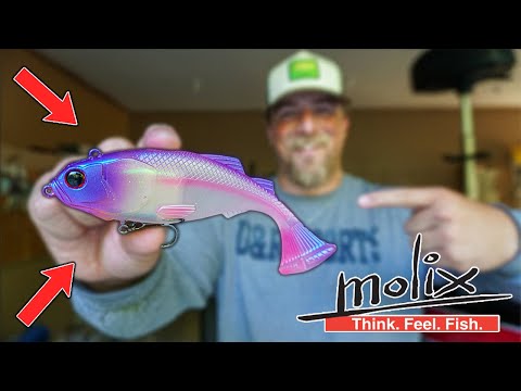 Molix Glidebaits & Swimbaits UNBOXING + How to Catch GIANT Bass!