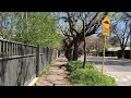 Motorola Edge 50 Neo 4k .5 to 3x zoom