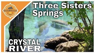 Three Sisters Springs | You Can Swim with the Manatees