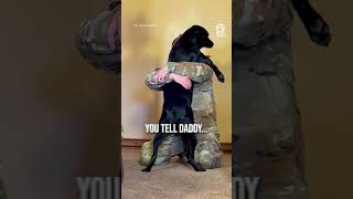 Blind dog realizes her military dad is finally home 😭❤️