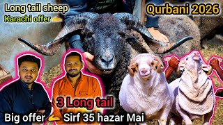 Download Lagu Bigg offer 🫴 35 hazar k 3 | Long tail sheep cheapest price in Karachi | Qurbani 2026 #cattlesjunoon  MP3