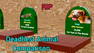 Deadliest Animal Comparison: Probability and Death Rate