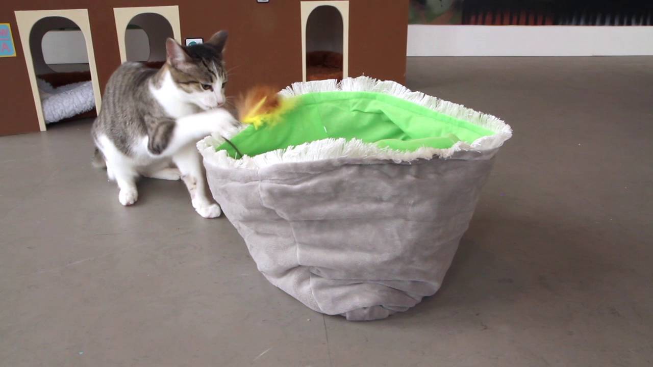 Petlinks® Cheep Thrills™