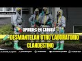 🎙🇨🇦 Canadá en Español | RCE Noticias | 11 Abril 2025 🎥