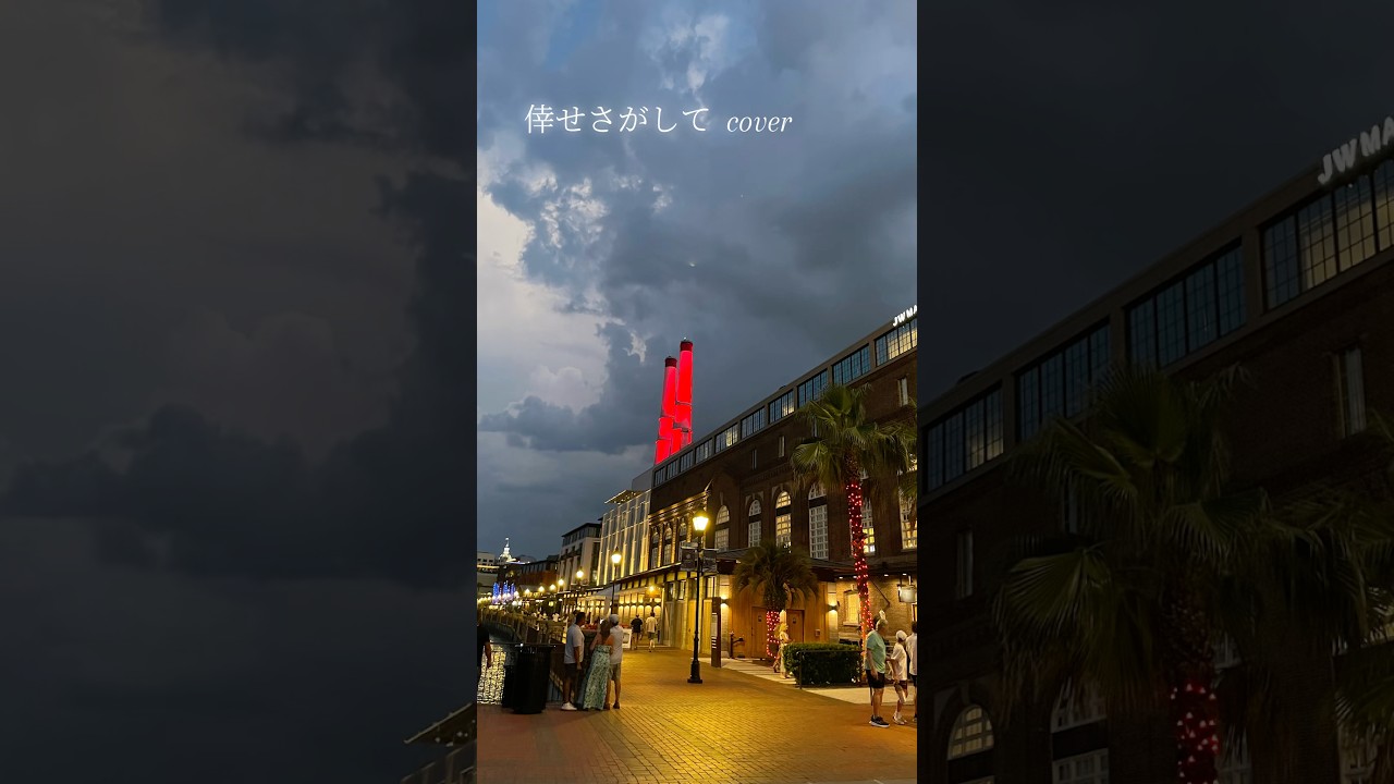 倖せさがして (Cover) | Searching for Happiness 🌙 #shorts