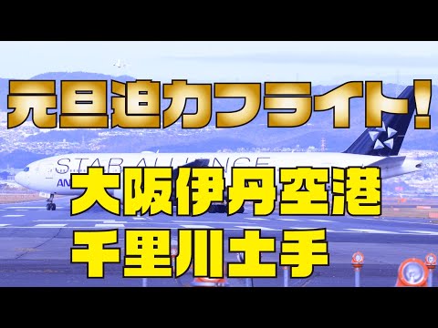 大迫力！大阪伊丹空港　千里川土手　フライト撮影　＃大阪伊丹空港　＃飛行機　＃離着陸