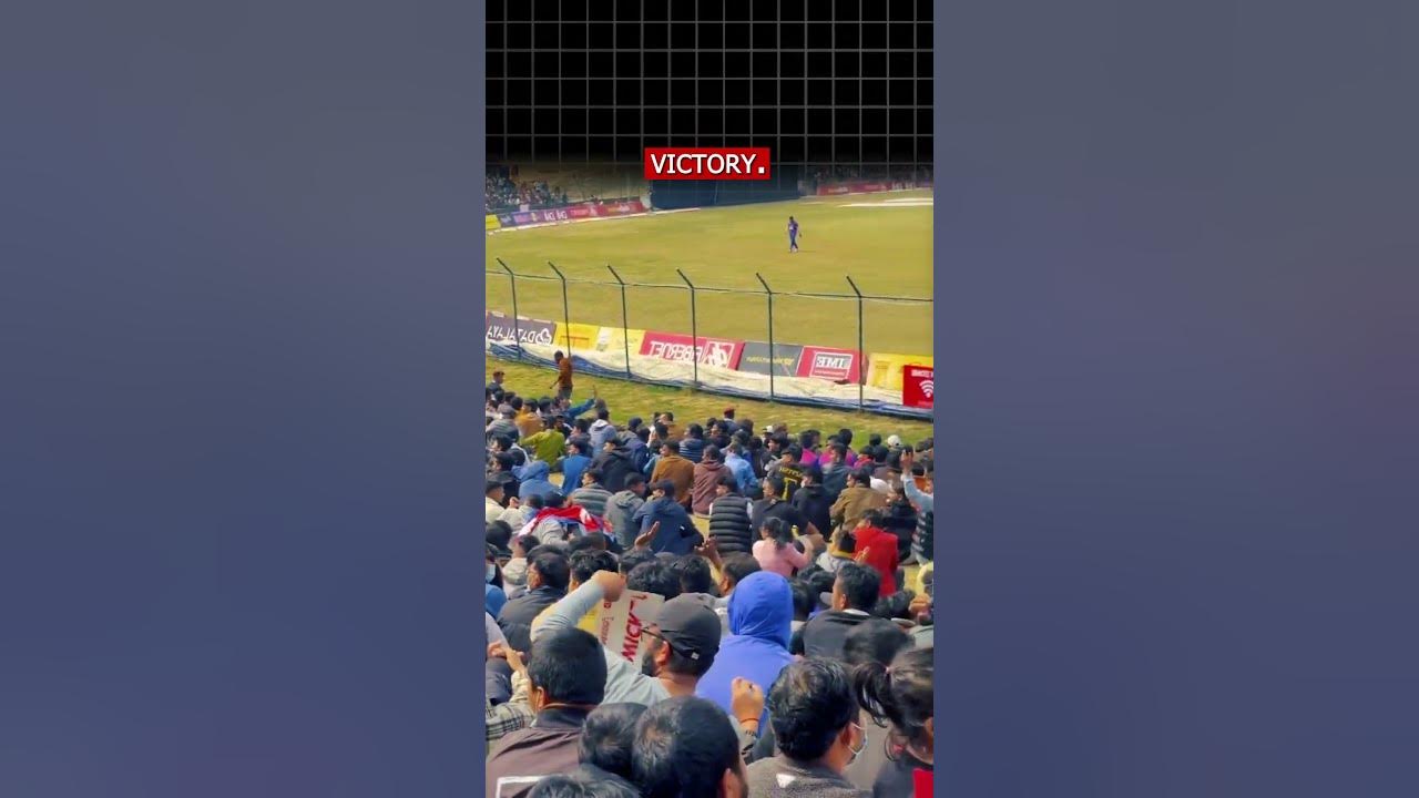 Nepal vs Netherland Triangular T20 Series 2024 Nepal Wins By 6 Wickets Nepal Cricket Team