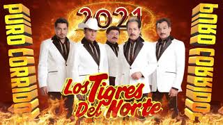 Los Tigres Del Norte Mix Corridos - Mix Puros Corridos 2021