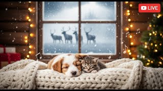 Soft Piano Music for Dogs 🎼 Calm Stress and Fear Naturally screenshot 1