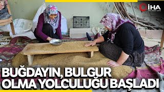 Bulgur Nasıl Yapılır? Buğdayın, Bulgur Olma Yolculuğu Başladı