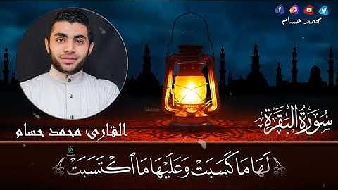 #سورة_البقرة القارئ محمد حسام | ماتيسر من سورة البقرة القارئ #محمد،_حسام