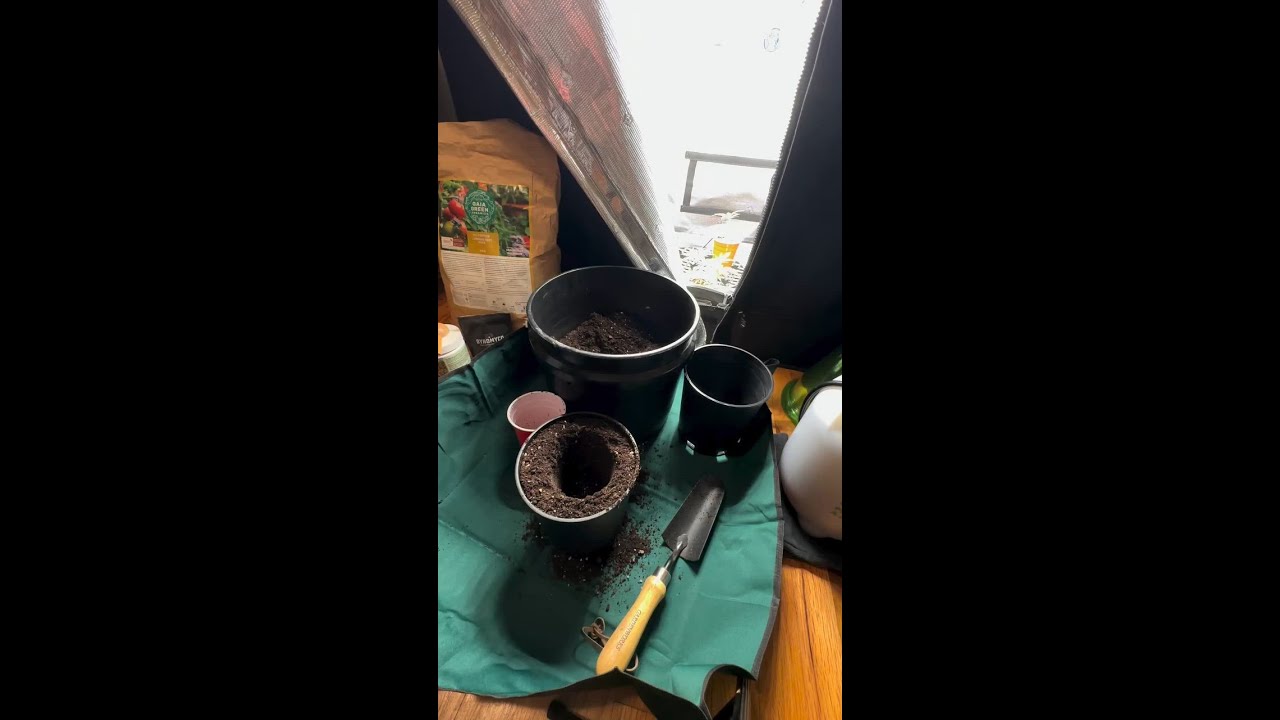 Pairing organics + mycorrhiza = stronger, healthier roots. 💪