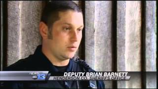 Mystery Horse Needs Home screenshot 2