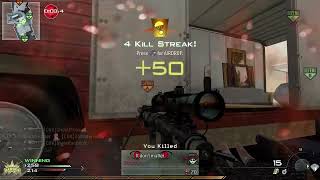 iw4x