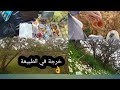 يوميات التيارتية لا كوزينة لاطيباب لادار ليوم تزناق في الطبيعة Omhindtyartiya 