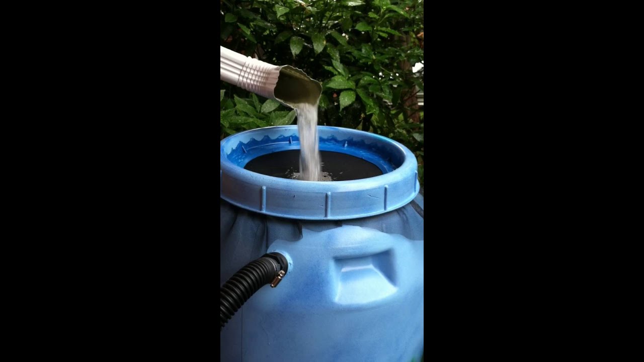 Rain barrel YouTube