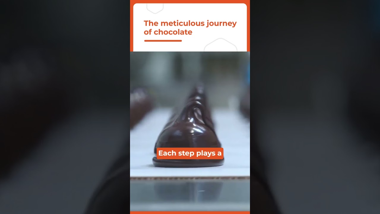 Indulge in the Meticulous Journey of Exquisite Chocolate Delights 