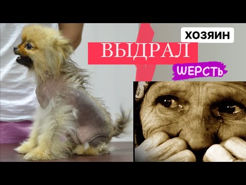 АЛОПЕЦИЯ Х. Продолжаем лечение...