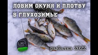 Ловим окуня и плотву в глухозимье Зимняя рыбалка 2022