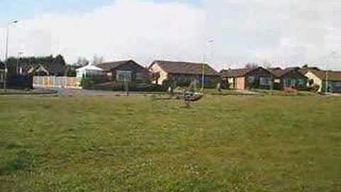 Trex-450 ..... Inverted