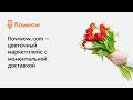 FlowWow l 13-й DEMOday ФРИИ