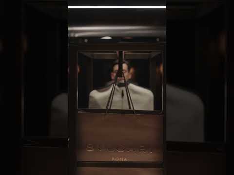 video lvmh from Youtube