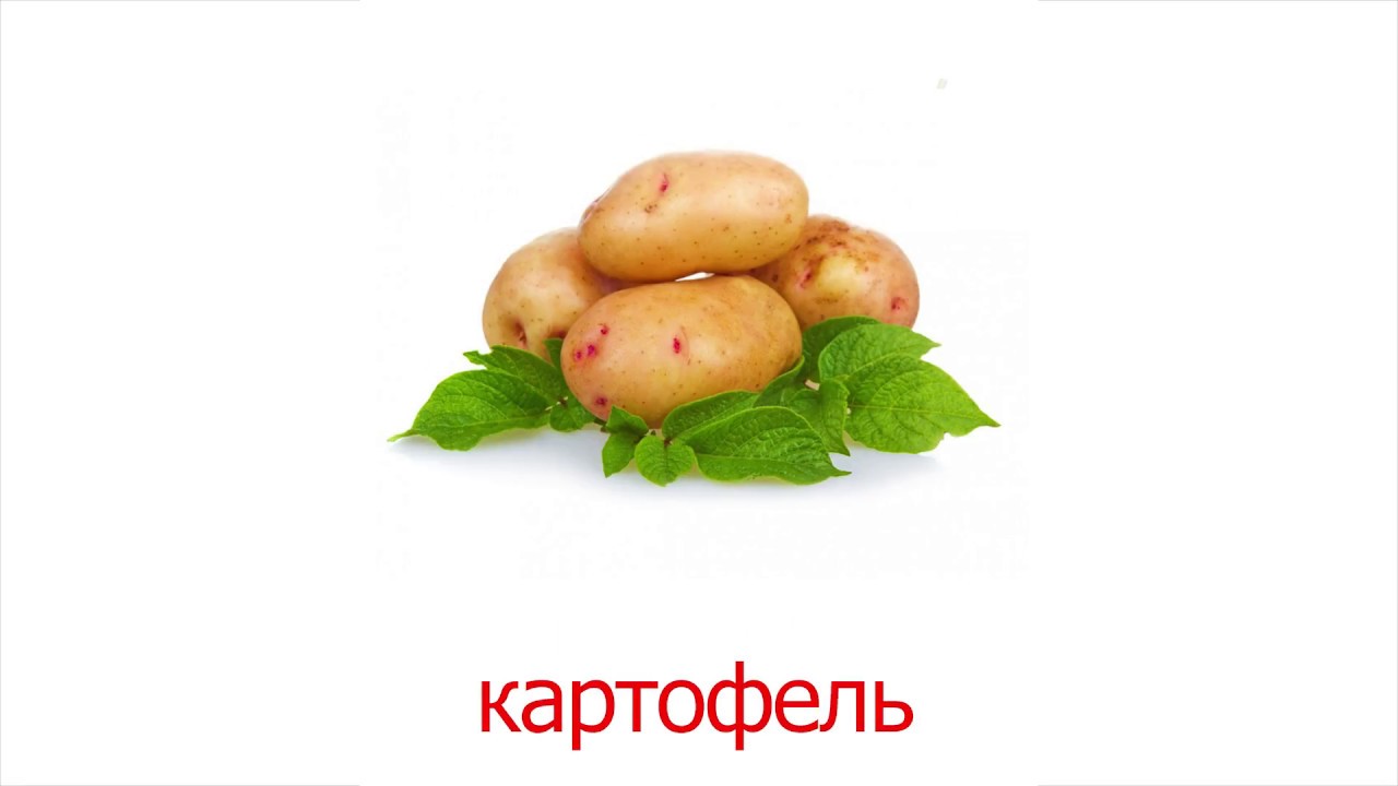 Подбери к слову картофель. Карточки Домана картофель. Карточки Домана овощи. Овощи карточки Домана для детей. Карточки с изображением овощей.