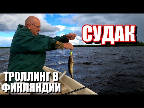 Рыбалка в Финляндии. Судак на троллинг.