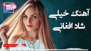 Afghan Mast Song |آهنگ شاد افغانی