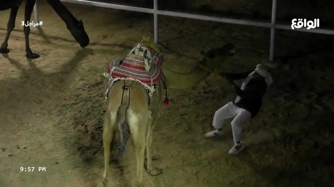 ابهر لجنة التحكيم بجراءته ! | المتقدم العشرون : عايض القحطاني (مراجل3)