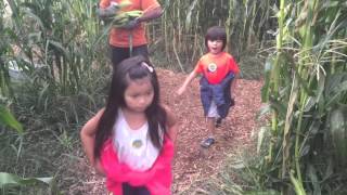 Plumper Pumpkin Patch 2015
