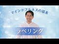 「ストレス」マインドフルネスの基本 ラベリング INVANA