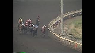North Sider 1985 Foster City BM Debutante 1986 Berry Bush Inv Hcp Watch Wendy Inv Hcp