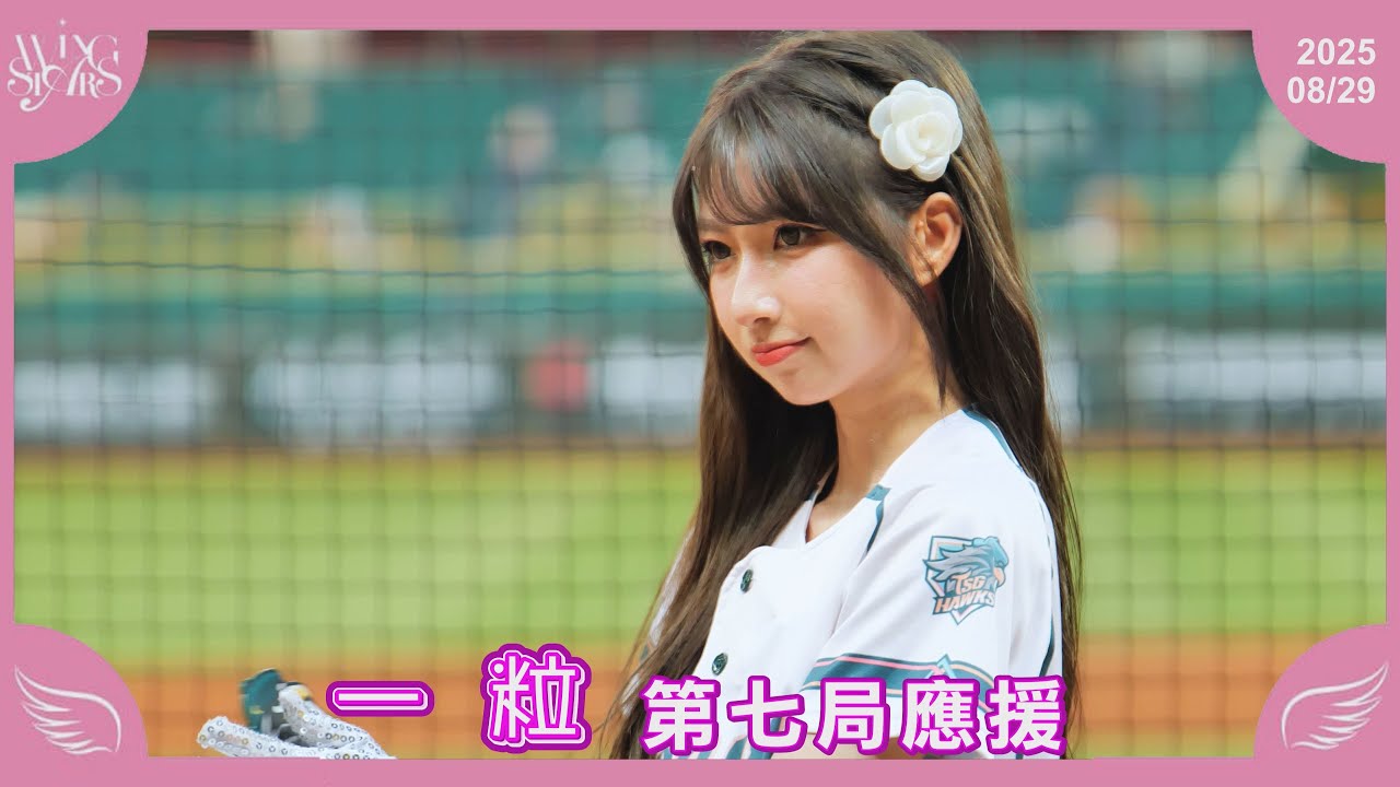【一粒】第七局應援 2 台鋼雄鷹啦啦隊 Wing Stars 20250829 - YouTube