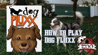 How to Play Dog Fluxx | Rules, Setup &amp; Gameplay Tutorial