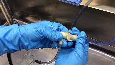 Endoscopy Tech Course - Endoscope Disinfection - 5. Second Sink Wash
