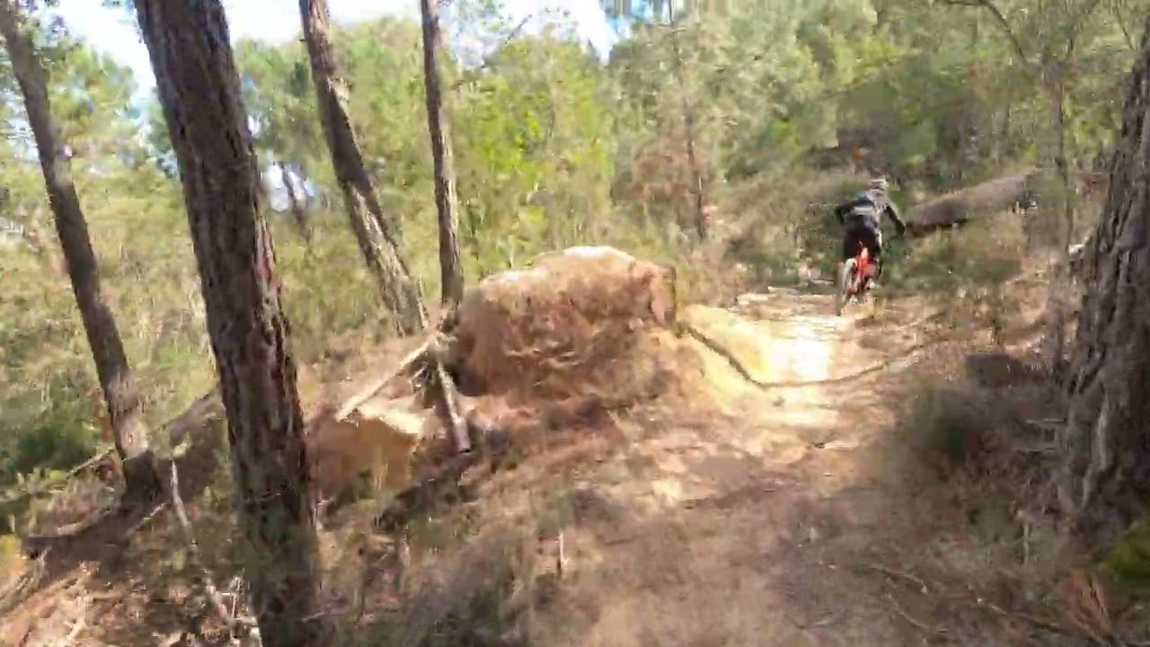 La Negra Santa Coloma de Farnes