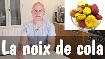 Quels sont les bienfaits de la noix de cola ?