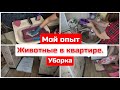 Животные в квартире. Мой опыт/ Уборка и уход за ними/ Заказ Faberlic/ мотивация на уборку