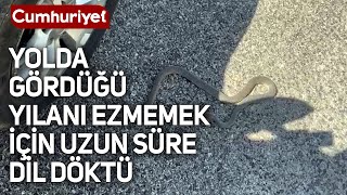 Yolda Gördüğü Yılanı Ezmemek Için Uzun Süre Dil Döktü