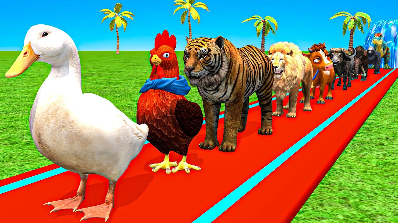 Nice Long slide game With Cow Elephant Gorilla Hippopotamus Tiger 3dAnimal Game Funny 3dAnimals