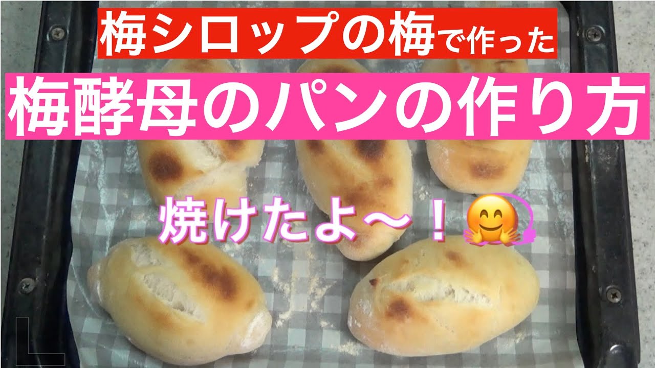 梅シロップの梅から作った梅酵母】でパンの作り方 - YouTube