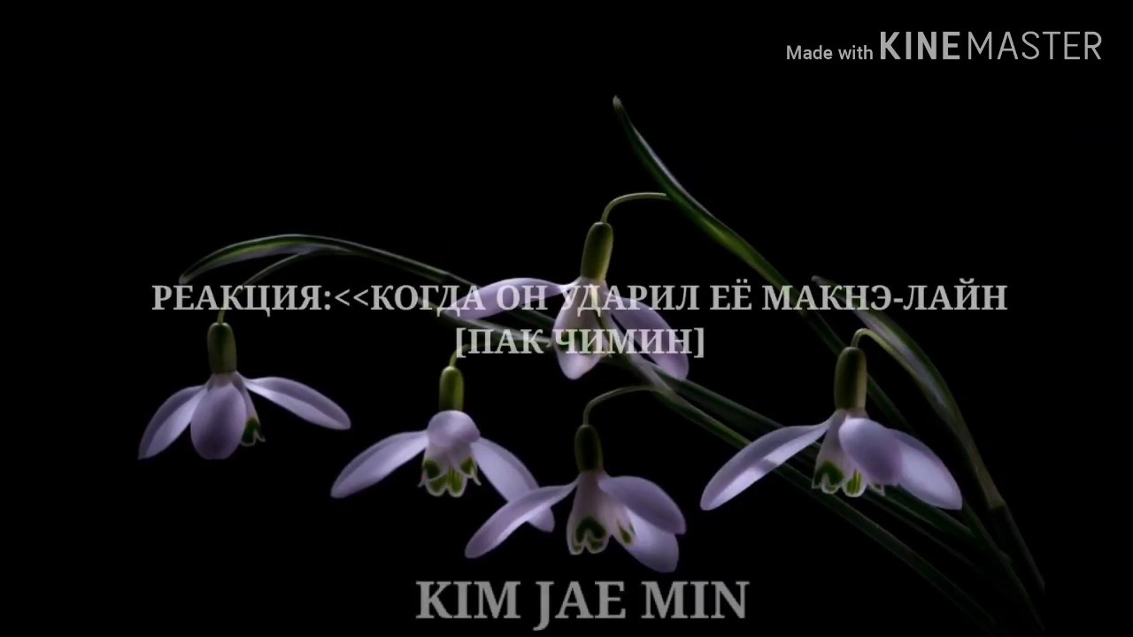 [РЕАКЦИЯ BTS] | КОГДА ОН УДАРИЛ Т/И (ЕЁ)| МАКНЭ-ЛАЙН [ЧИМИН]