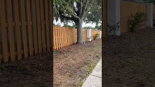 700ft of Fence in 25 seconds. Vertical Shadowbox w/ Cedar Stain. Pressure Wash &amp; Paint Pillars #941