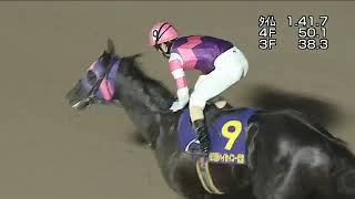 2022.11.16 Haiseiko Kinen (JPN) - Mandarin Hero