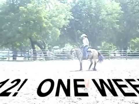 Tucker the Mustang & Cindy Branham WEEK 12 "ARE WE...